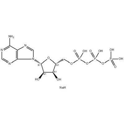एडेनोसिन 5'-ट्राइफॉस्फेटस, डिसोडियम नमक (एटीपी-2Na); CAS संख्या: 987-65-5